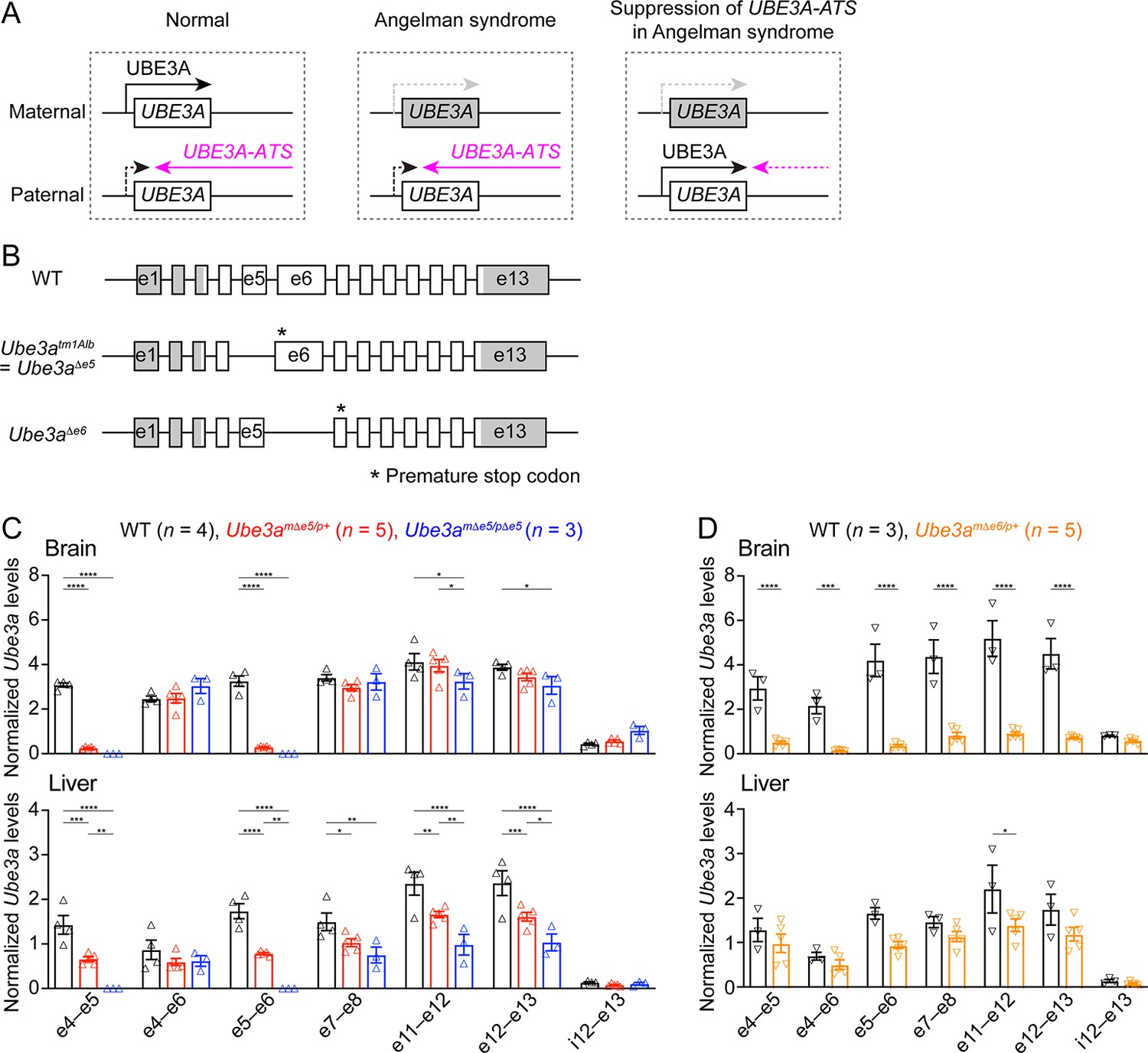 Figures and data in Antisense oligonucleotide therapy