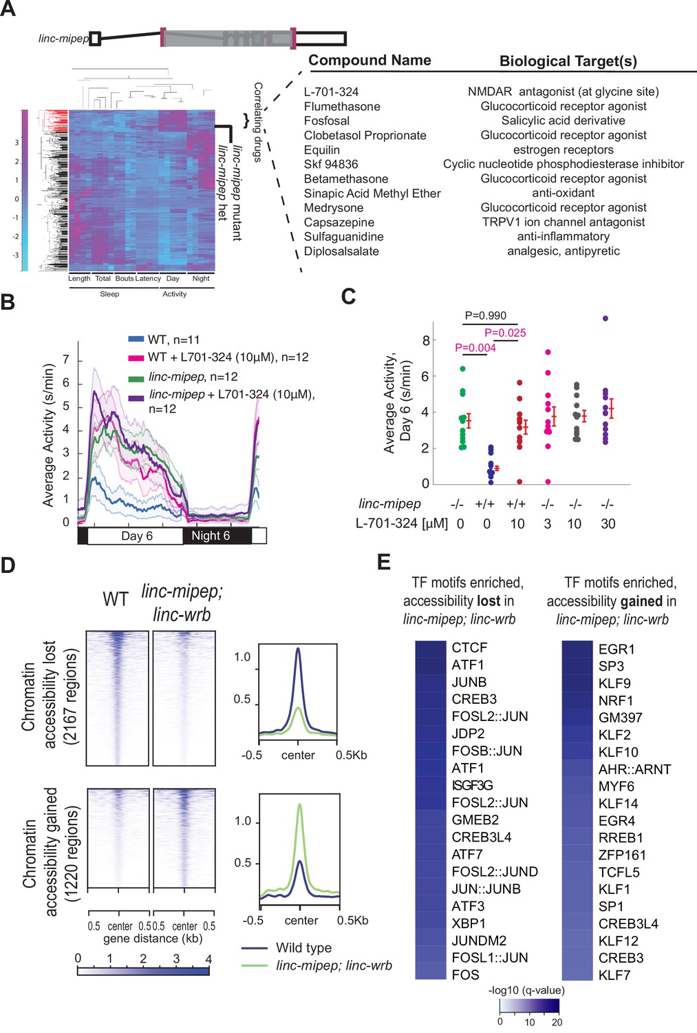 Sequence alignment of the C-and A-sheet domains of the lamprey LV