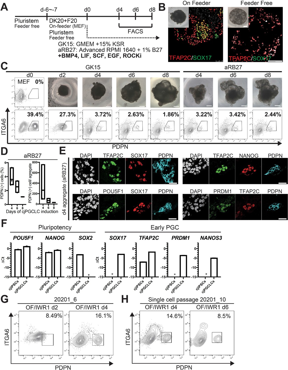 Figures And Data In Efficient Generation Of Marmoset Primordial Germ