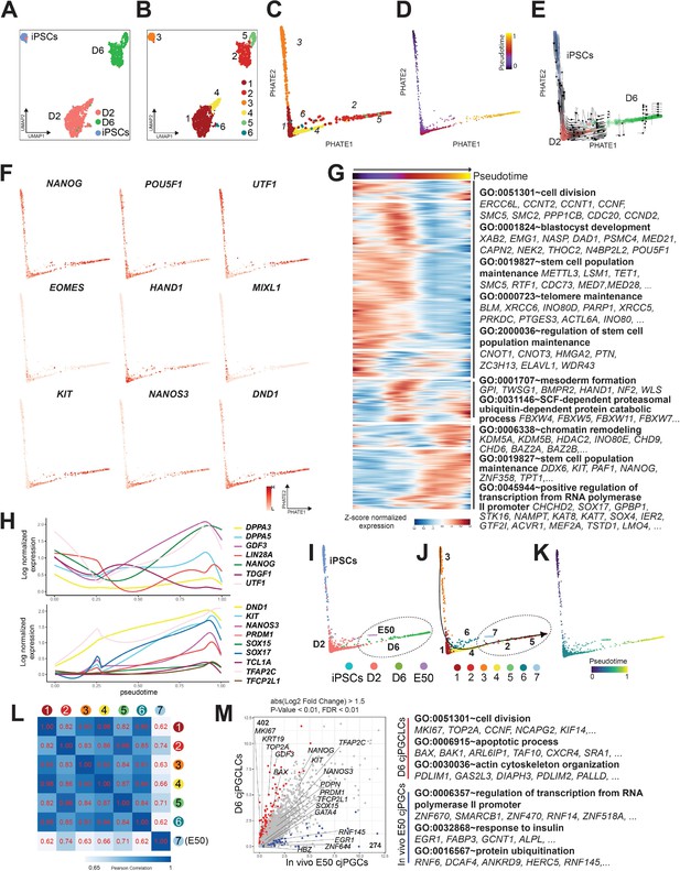 Efficient Generation Of Marmoset Primordial Germ Cell-like Cells Using ...