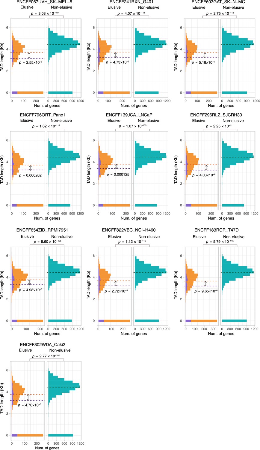 The impact of local genomic properties on the evolutionary fate of genes