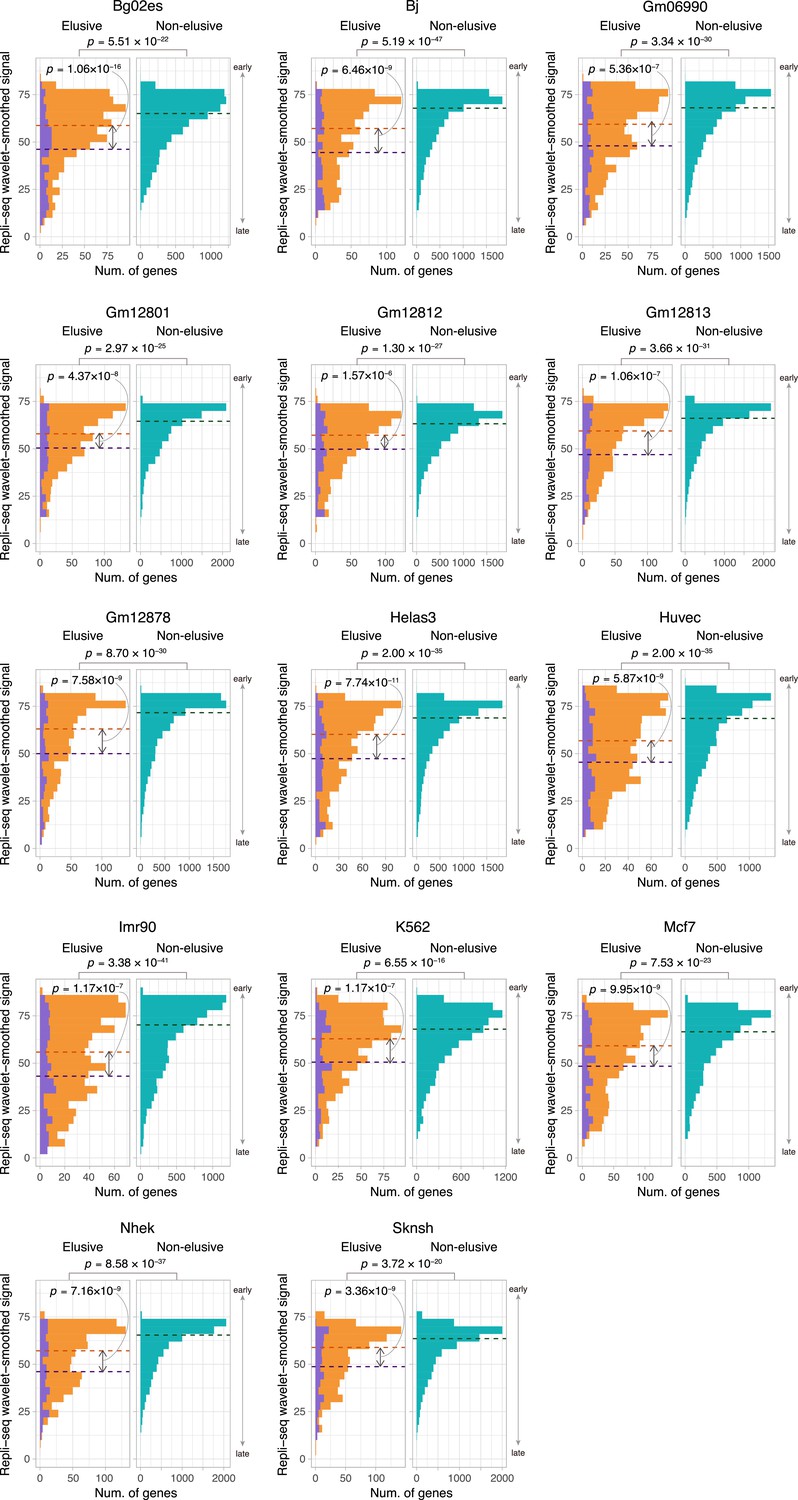 The impact of local genomic properties on the evolutionary fate of genes