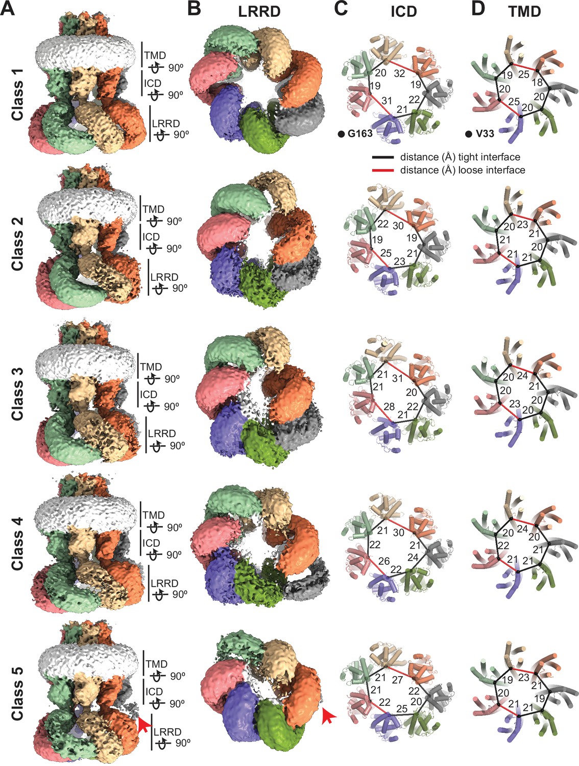 タンパク質結晶の新展開 = New Trends in Protein Cry… Crystal Formerを用いたタンパク質結晶化に最適です