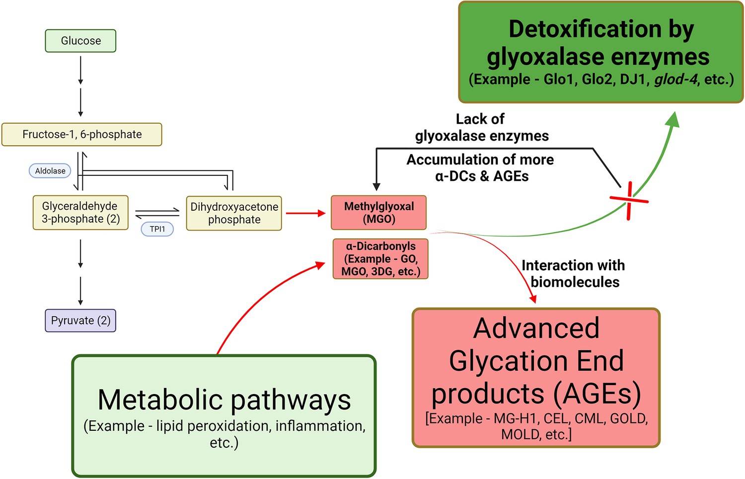 Painting the ELT Research Landscape during the Pandemic: A