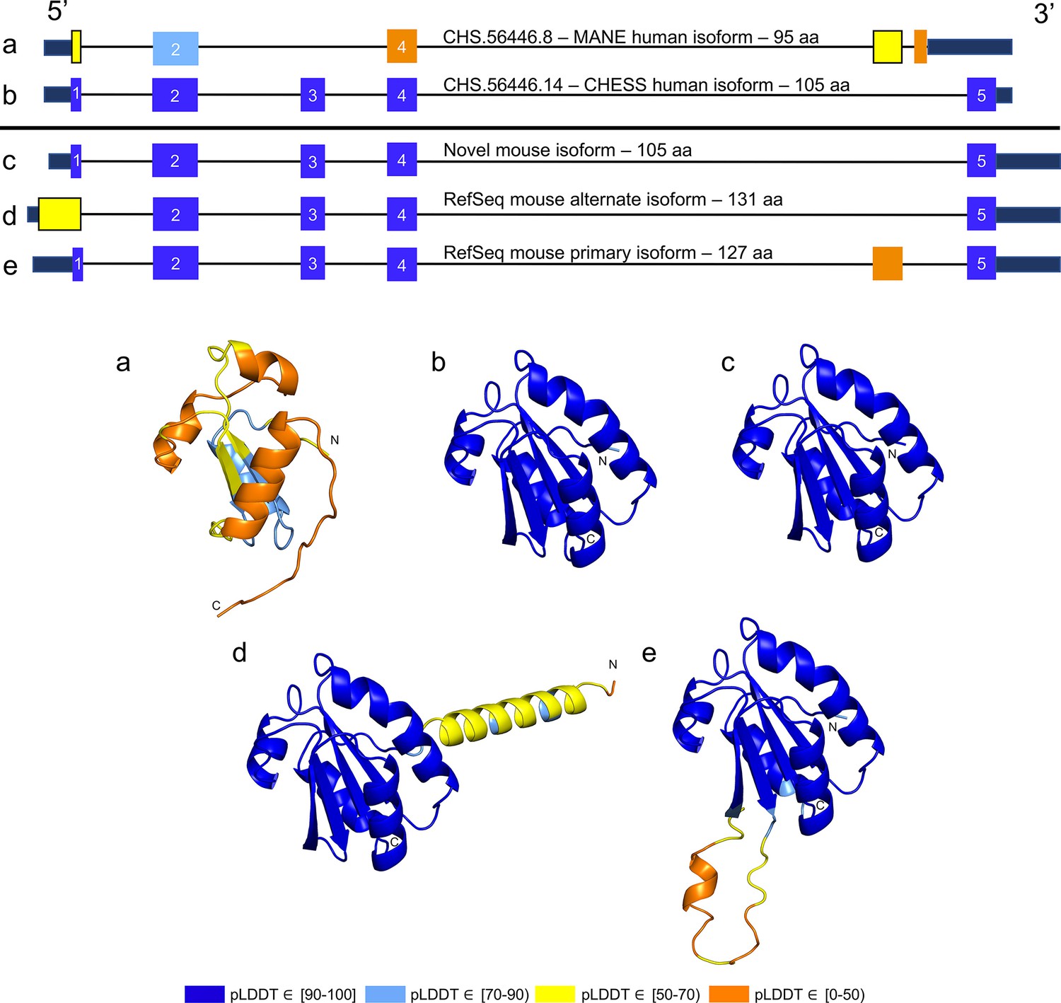 Comparison of three methods for gene isoform identification. Lines with