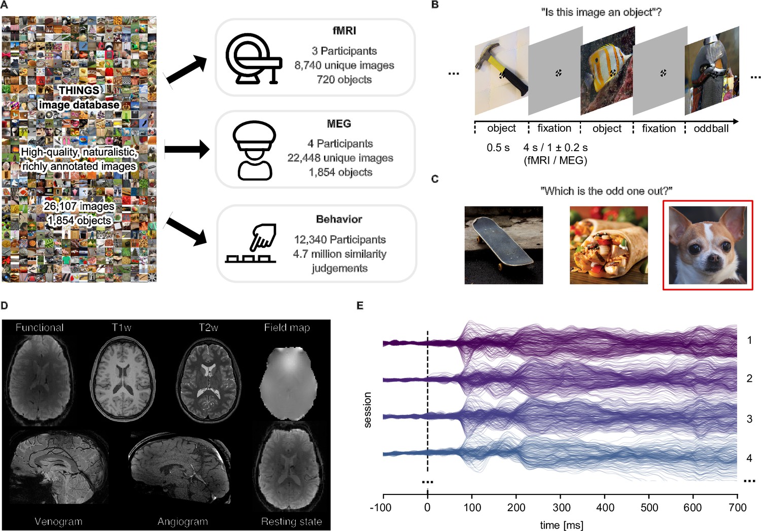 THINGS-data, A Multimodal Collection Of Large-scale Datasets For ...