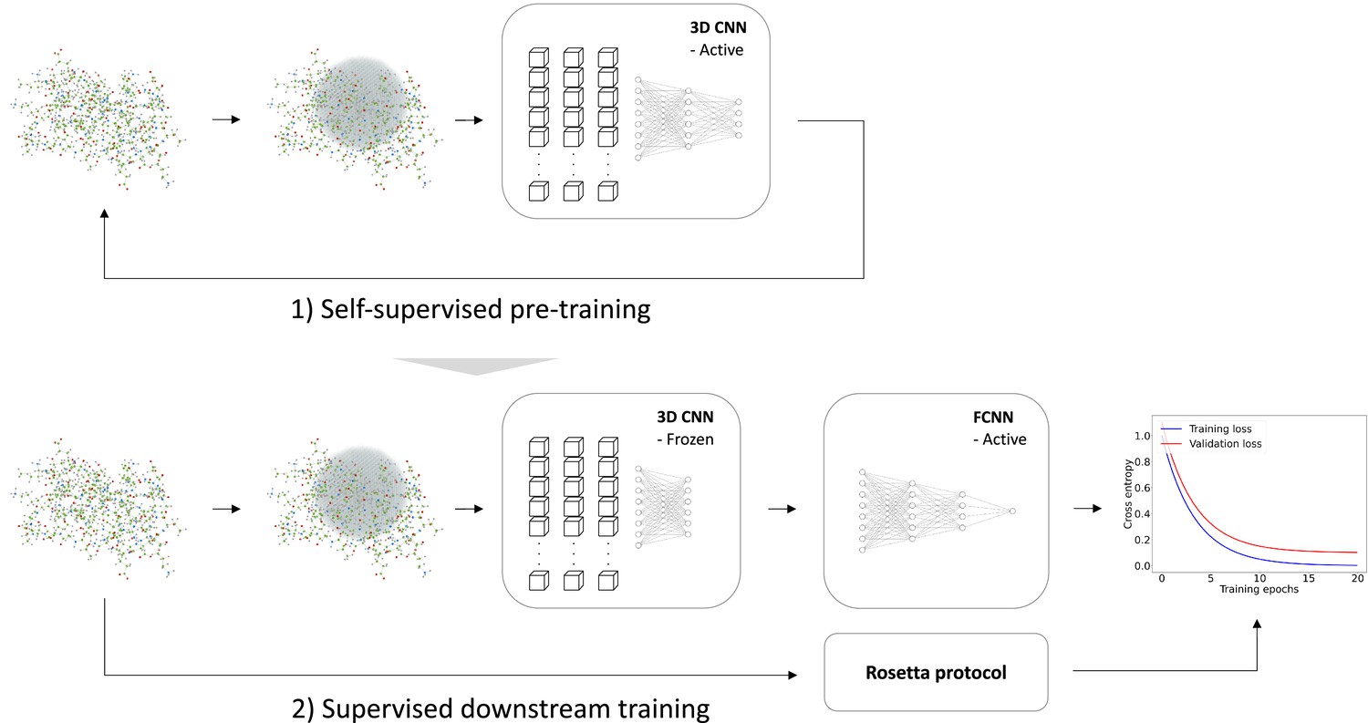Rapid protein stability prediction using deep learning representations