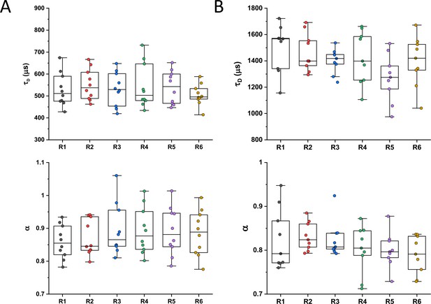 Dependence of diffusion in Escherichia coli cytoplasm on protein