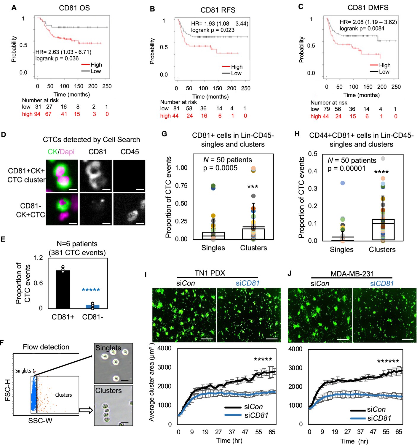 Machine learning assisted elucidation of CD81 CD44 interactions in