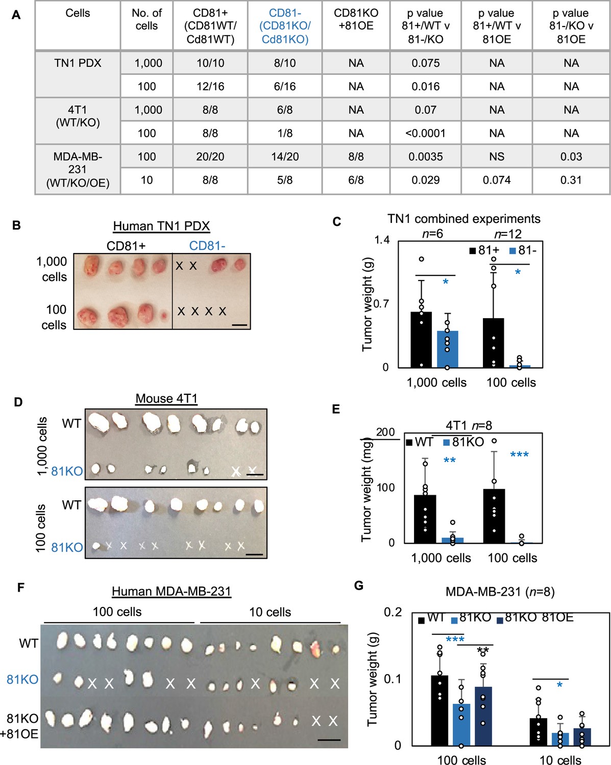 Machine learning assisted elucidation of CD81 CD44 interactions in