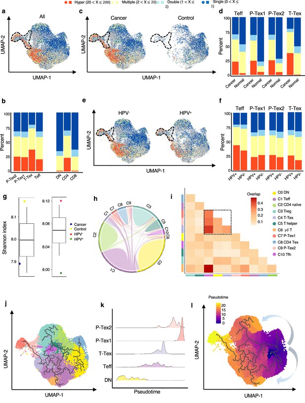 Proliferative Exhausted CD8+ T Cells Exacerbate Long-lasting Anti-tumor ...