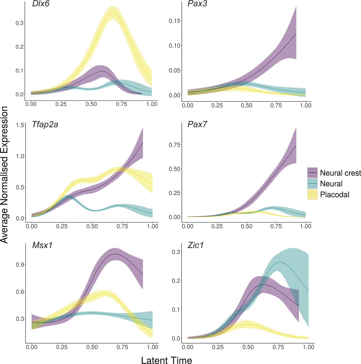 Figures And Data In Scrna Sequencing In Chick Suggests A Probabilistic