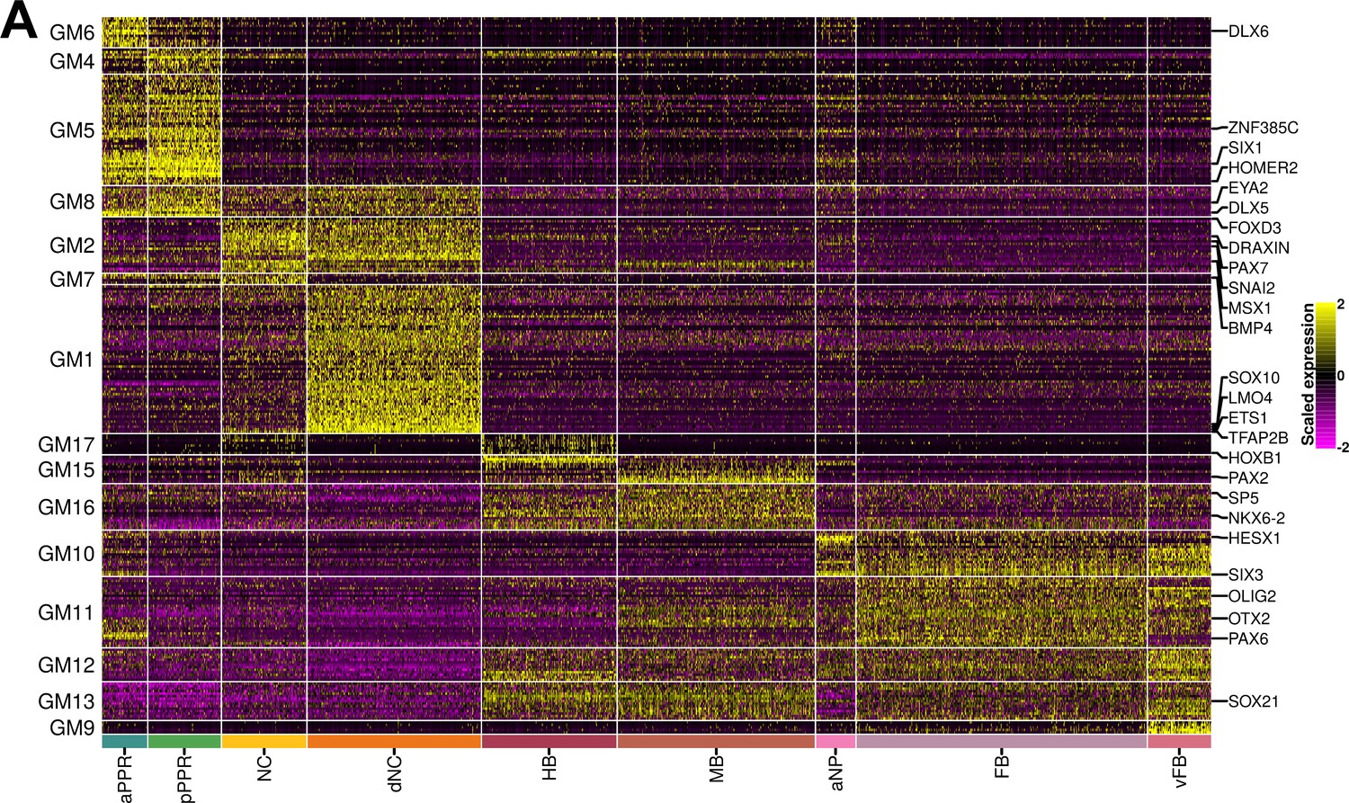 Figures And Data In Scrna Sequencing In Chick Suggests A Probabilistic