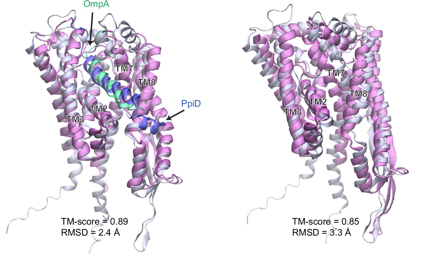 Deep learning driven insights into super protein complexes for
