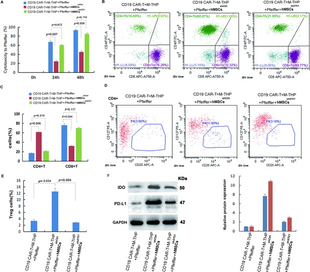 Mesenchymal stem cell suppresses the efficacy of CAR-T toward killing ...