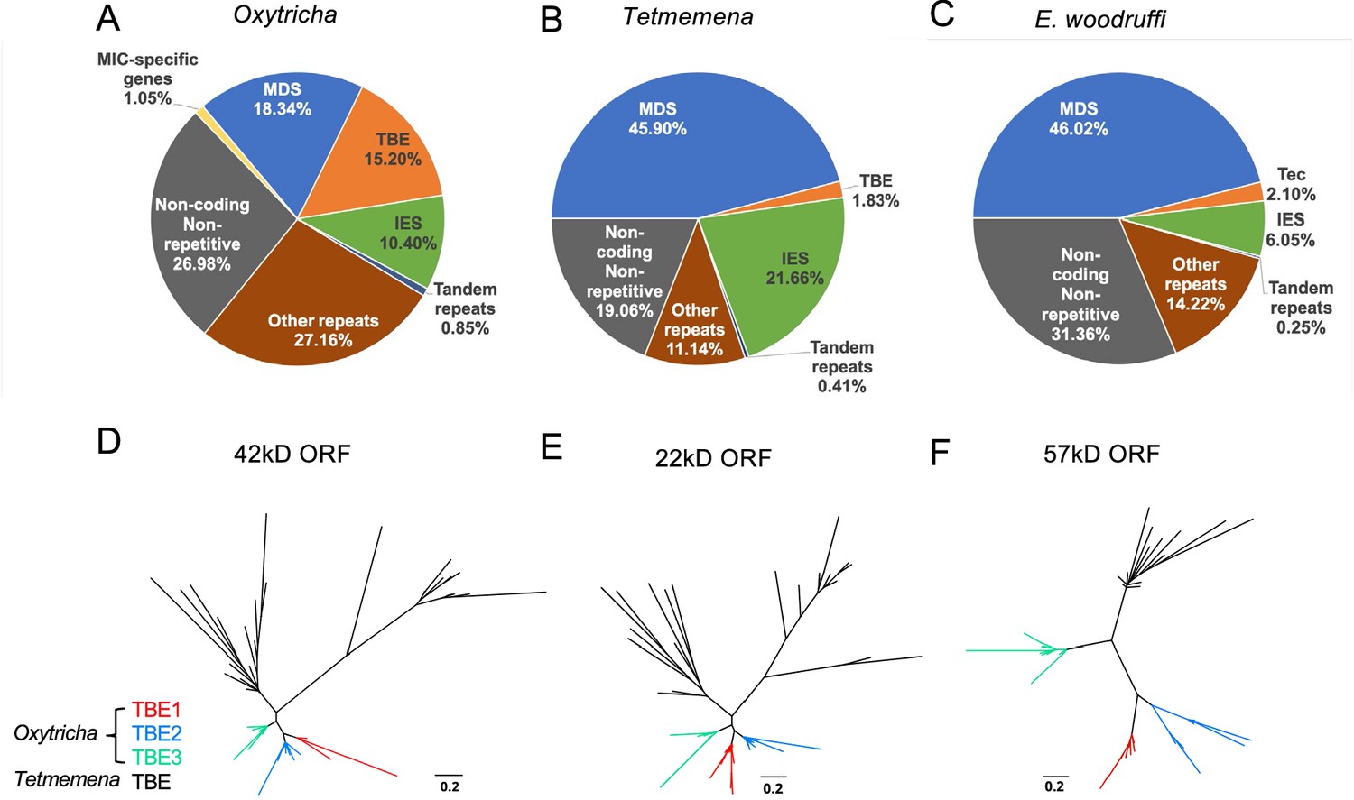 Comparative Genomics Reveals Insight Into The Evolutionary Origin Of ...