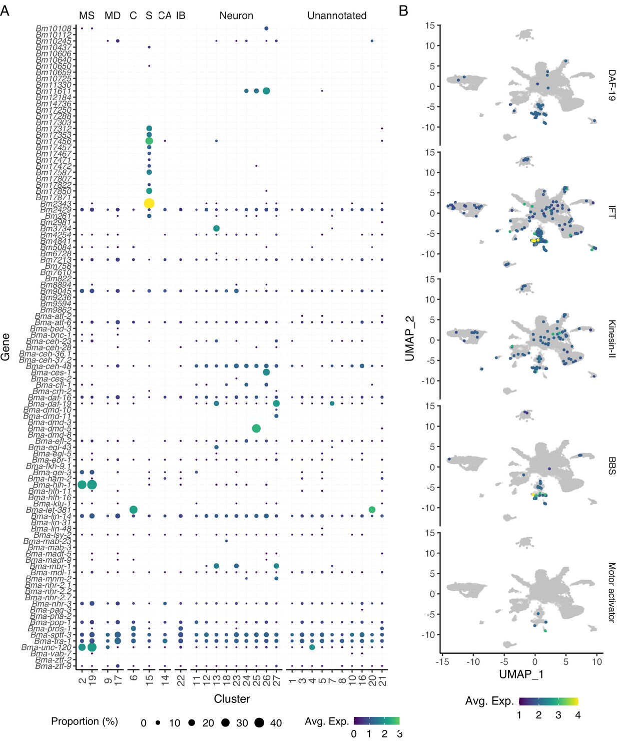 Figures And Data In Resolving The Origins Of Secretory Products And ...