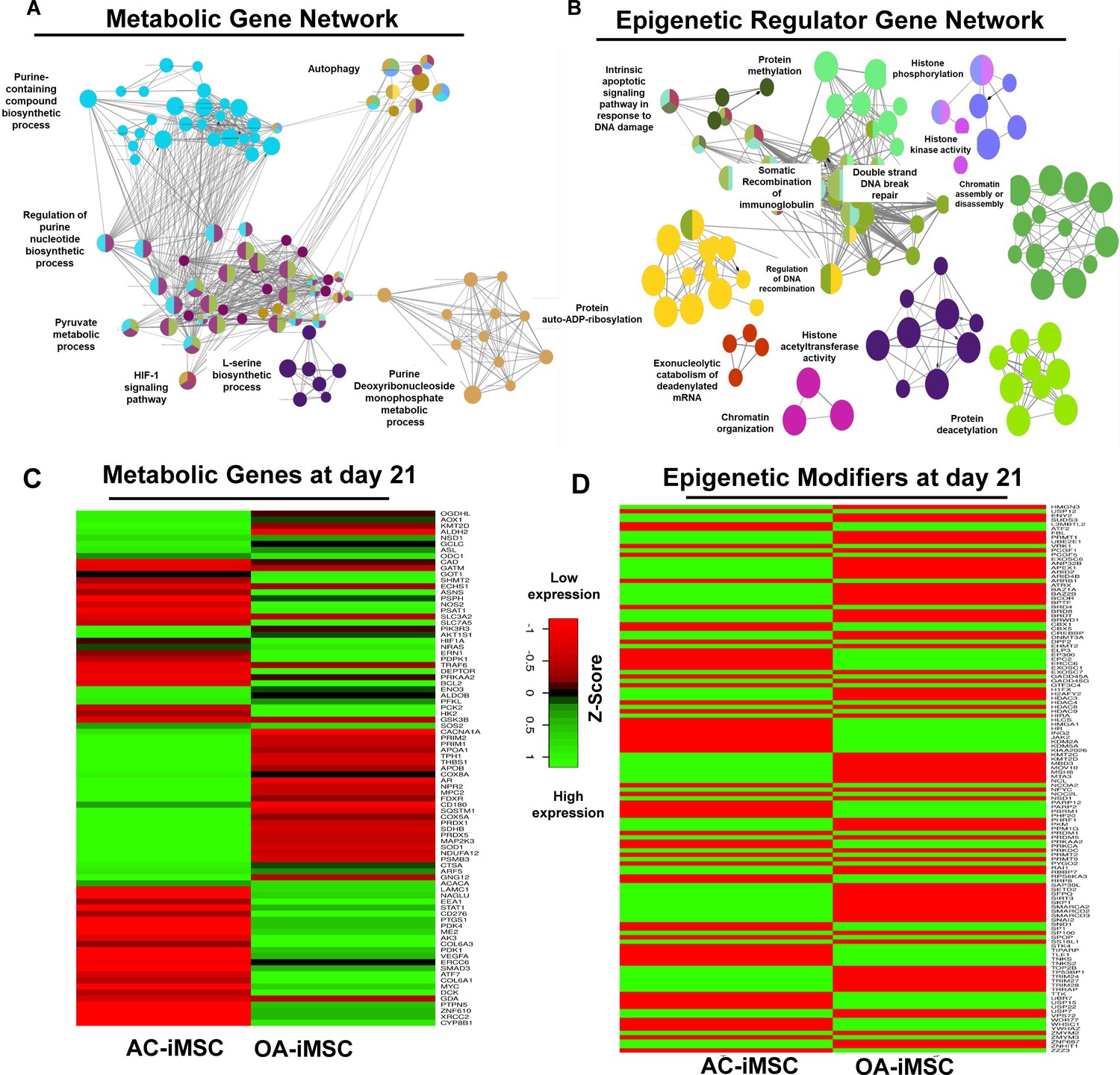 Differential Chondrogenic Differentiation Between IPSC, 57% OFF