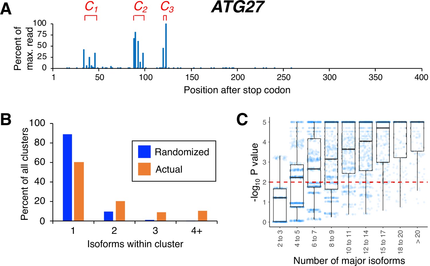 Nucleotide Level Linkage Of Transcriptional Elongation And