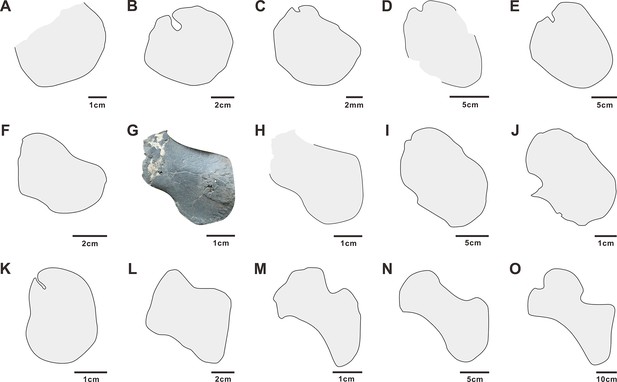 An armoured marine reptile from the Early Triassic of South China and ...