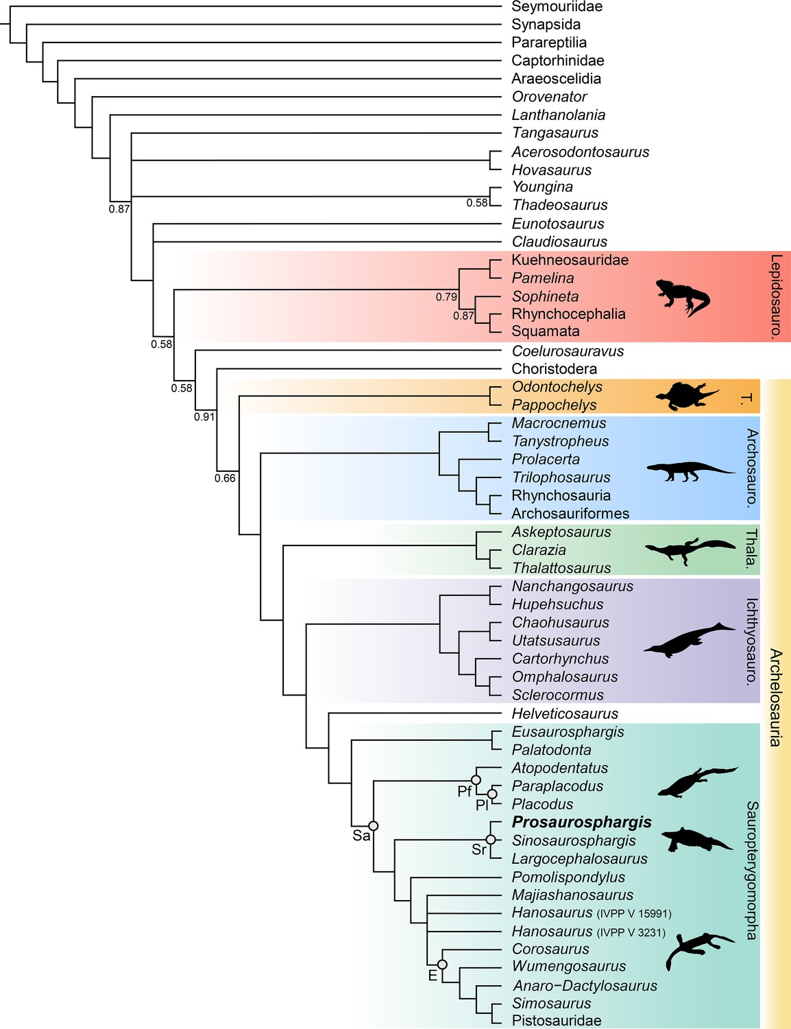 An armoured marine reptile from the Early Triassic of South China and ...