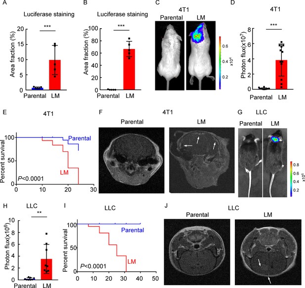 Figures And Data In VLA-4 Suppression By Senescence Signals Regulates ...