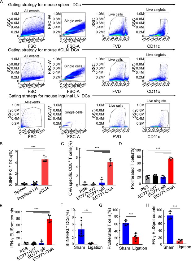 Figures And Data In VLA-4 Suppression By Senescence Signals Regulates ...