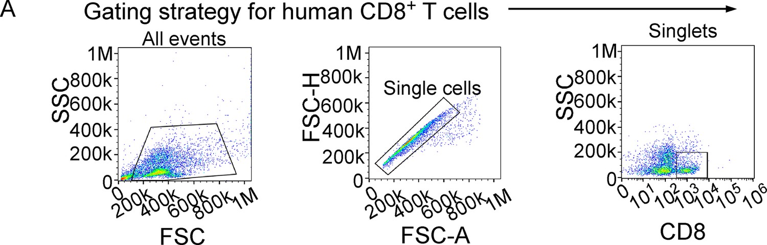 Figures And Data In VLA-4 Suppression By Senescence Signals Regulates ...