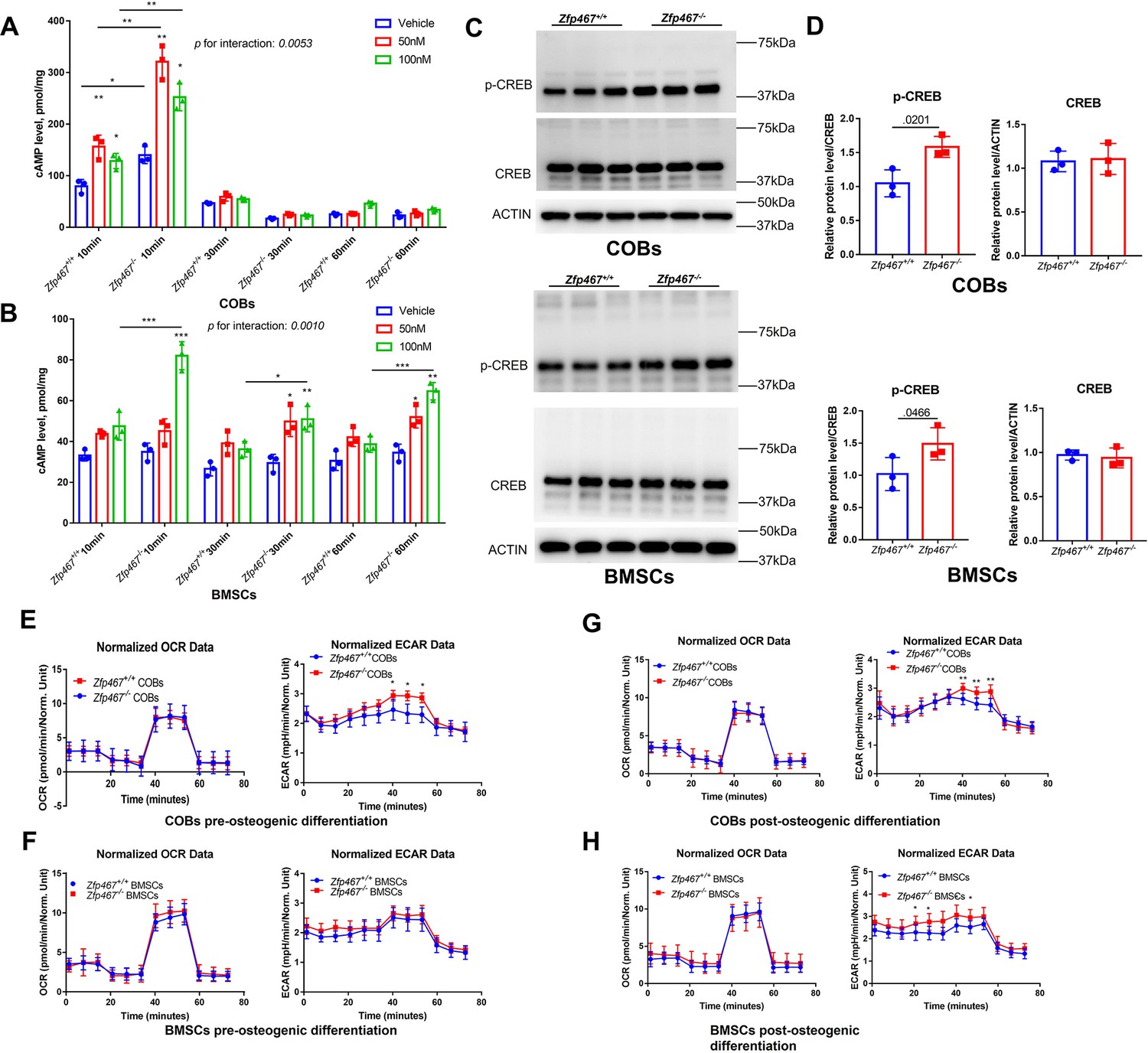 PTH regulates osteogenesis and suppresses adipogenesis through Zfp467 ...