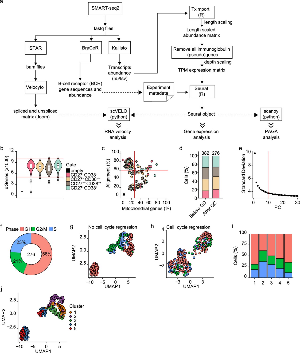 Transcriptional and clonal characterization of B cell plasmablast