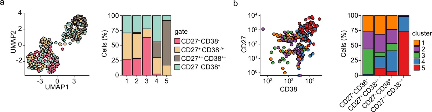 Figures And Data In Single-cell Analysis Reveals Dynamics Of Human B ...