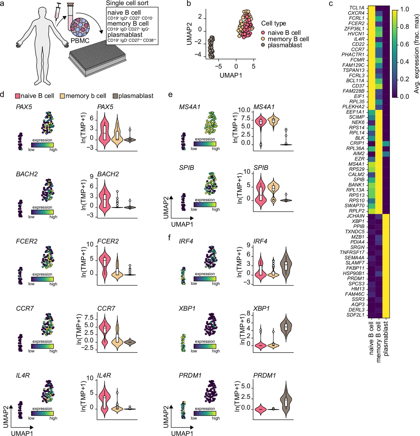 Figures And Data In Single-cell Analysis Reveals Dynamics Of Human B ...