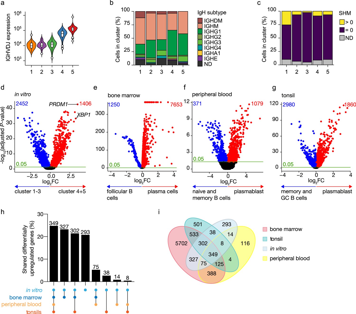 Single-cell Analysis Reveals Dynamics Of Human B Cell Differentiation ...