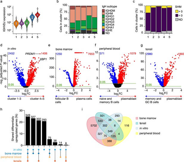 Single-cell Analysis Reveals Dynamics Of Human B Cell Differentiation ...