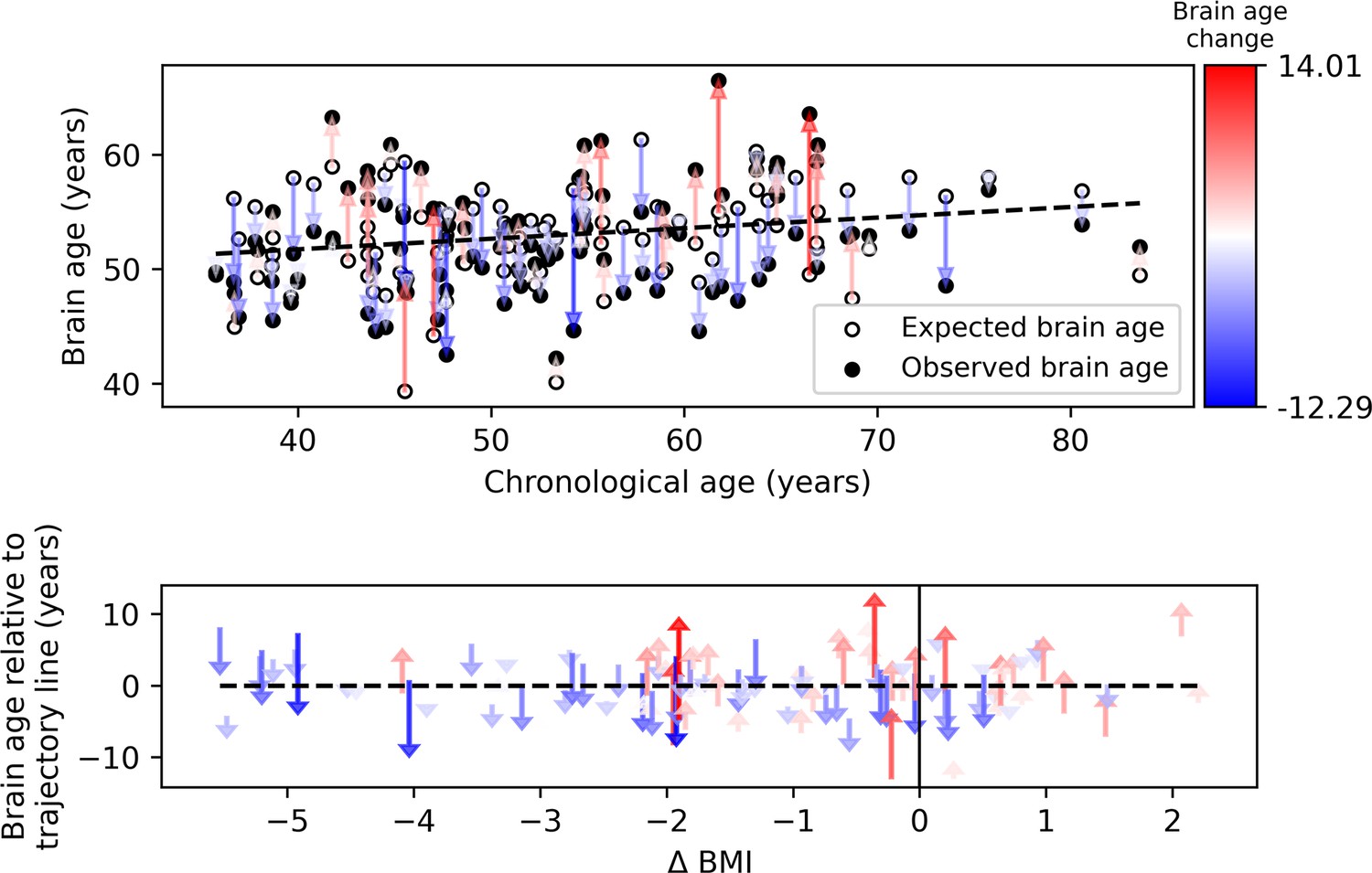 Information: The real weight of the brain inside the skull is 1200 - 1400  grams