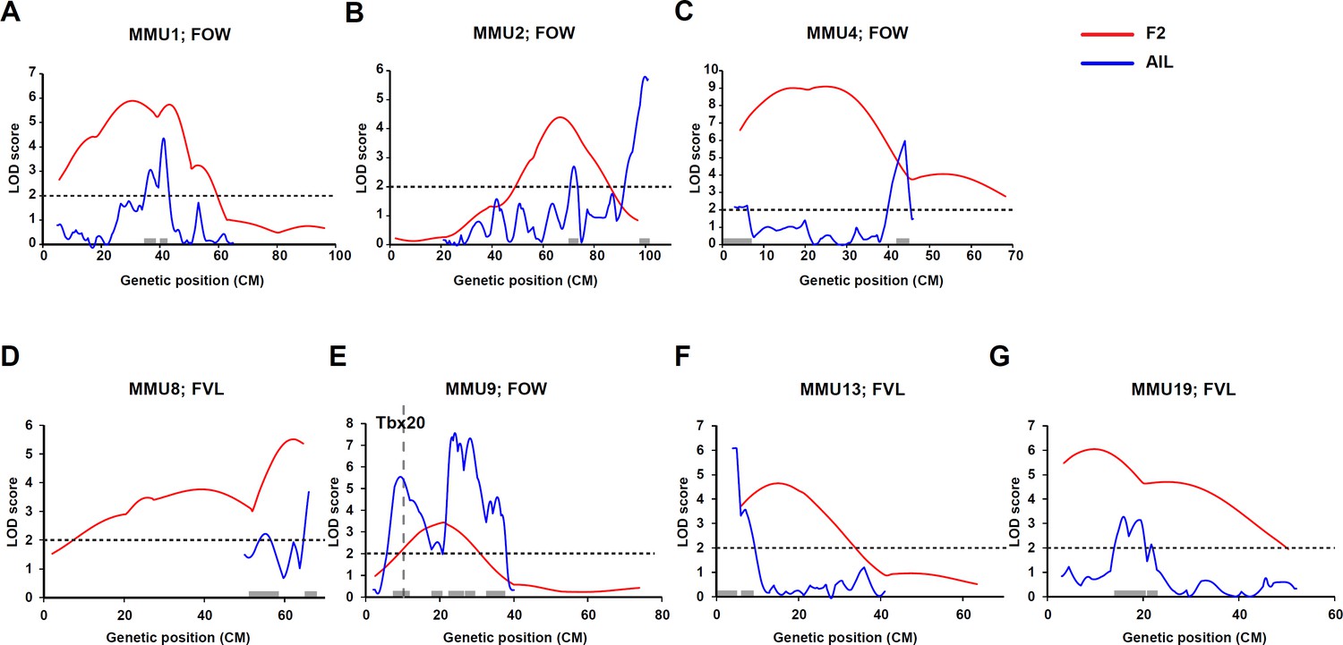 Quantitative trait and transcriptome analysis of genetic