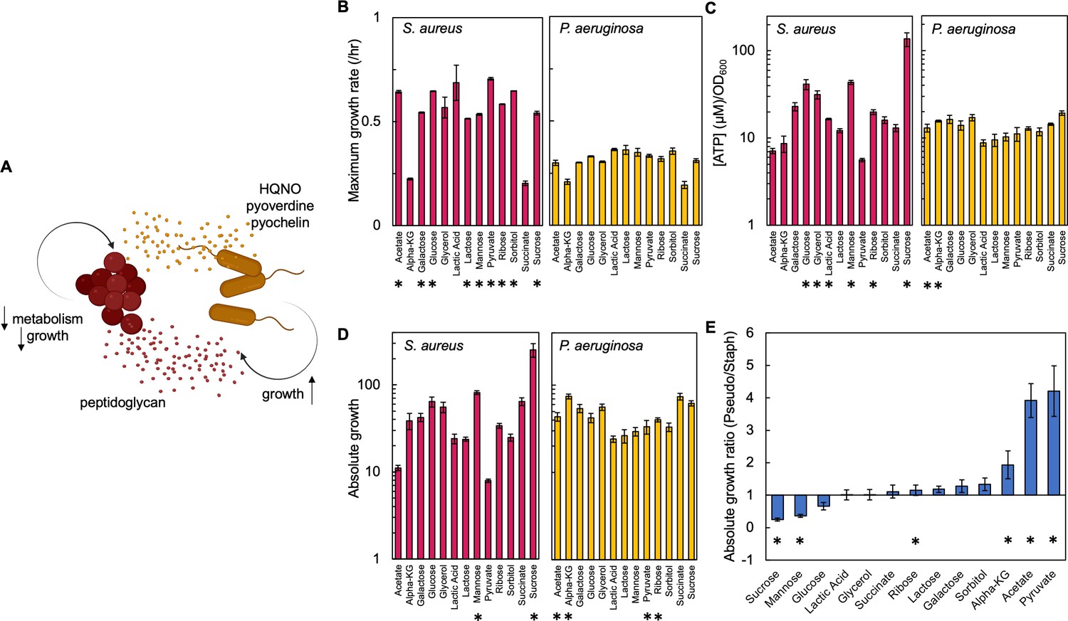 Interactions Between Metabolism And Growth Can Determine The Co