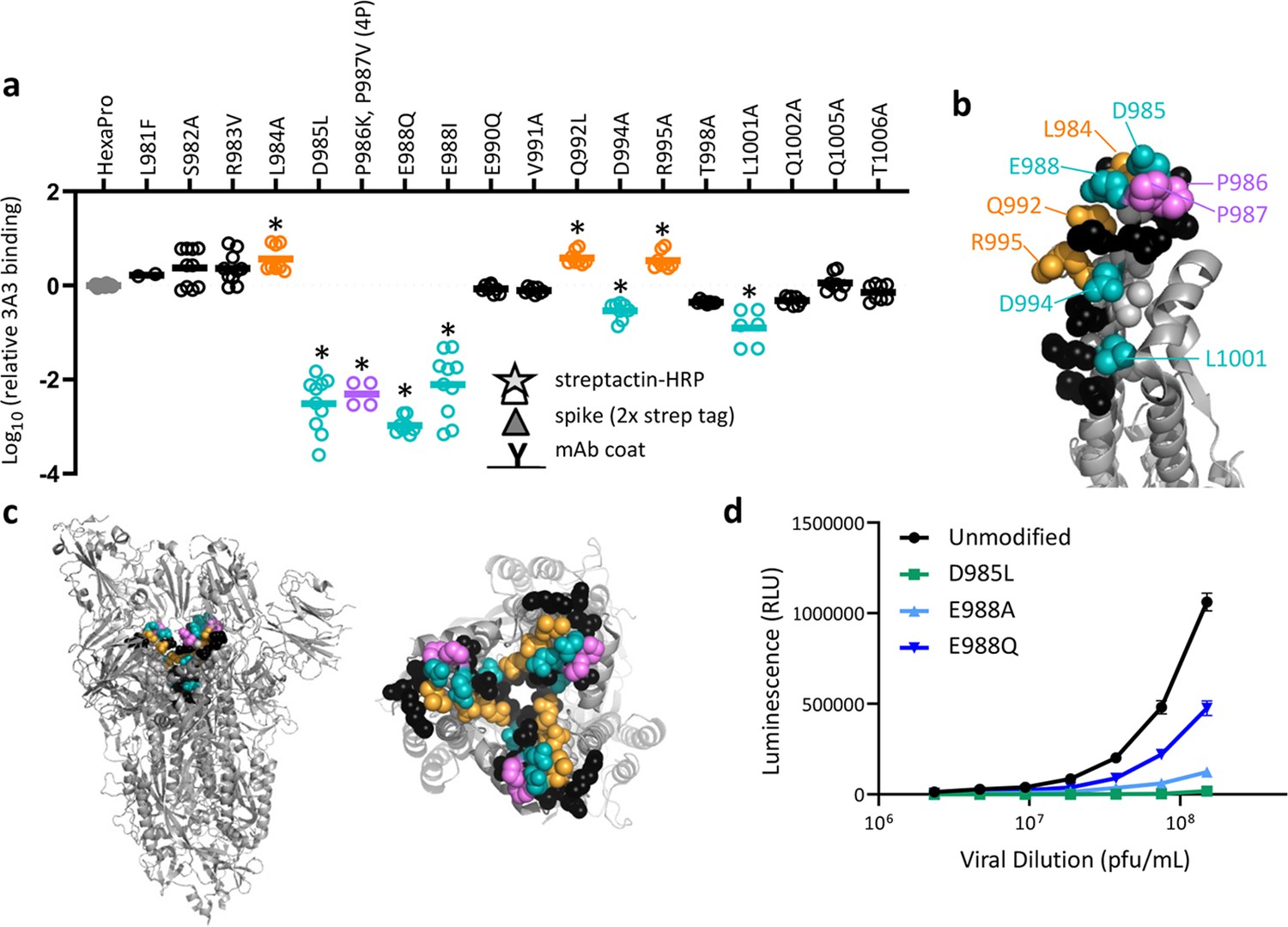 Cryo-EM epitope mapping: SARS-CoV-2 spike protein antibodies