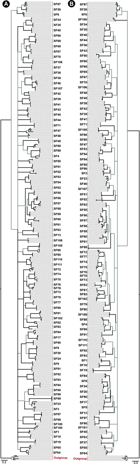 Figures and data in The deep-rooted origin of disulfide-rich spider ...