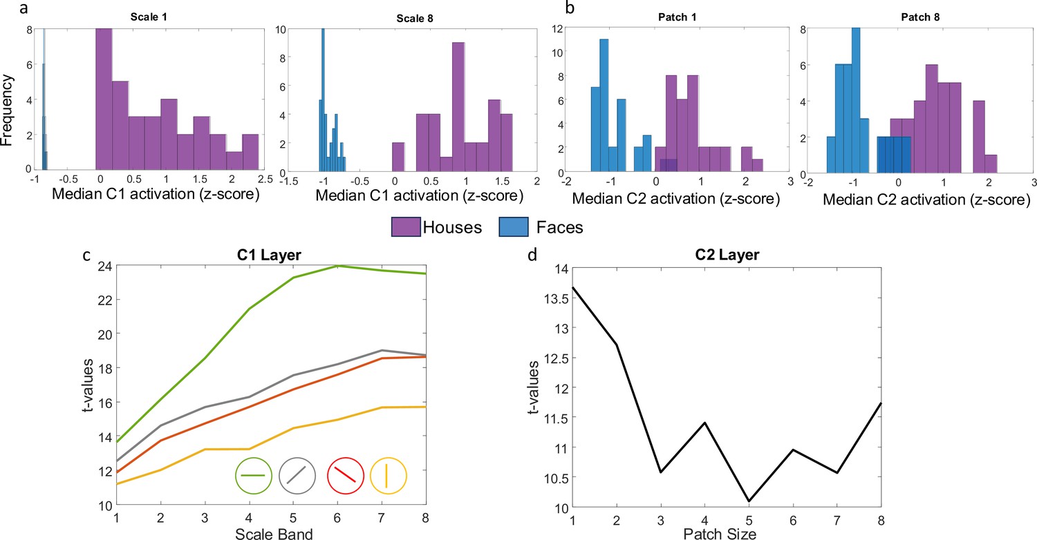 A Study on the Microstructure Regulation Effect of Niobium