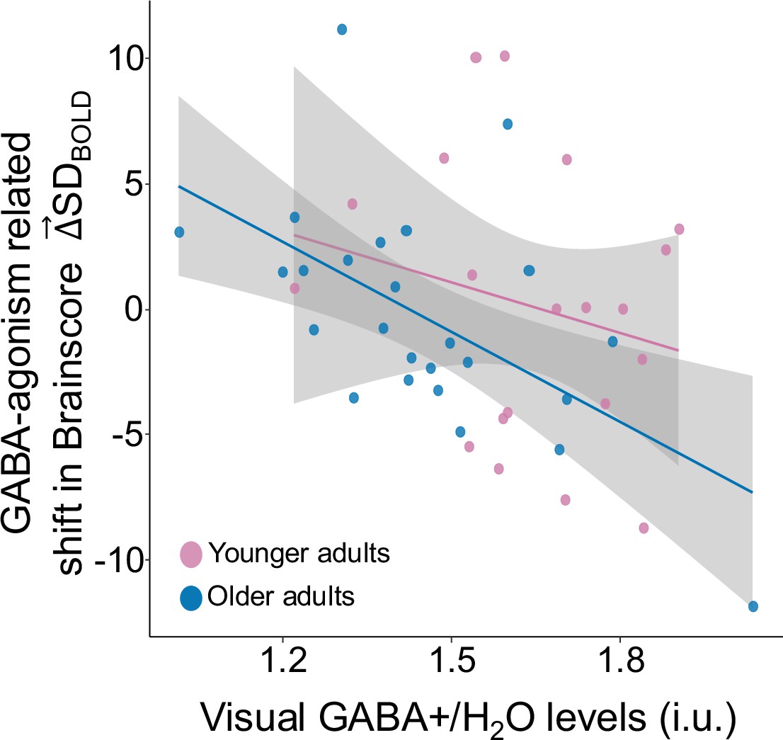 半額満載！スーパーSALE グランドセール！ signal brain of Modulation variability cortex visual in iPhoneアクセサリー