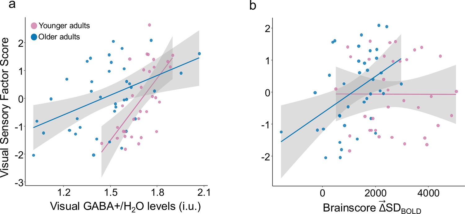 Modulation of brain signal variability in visual cortex