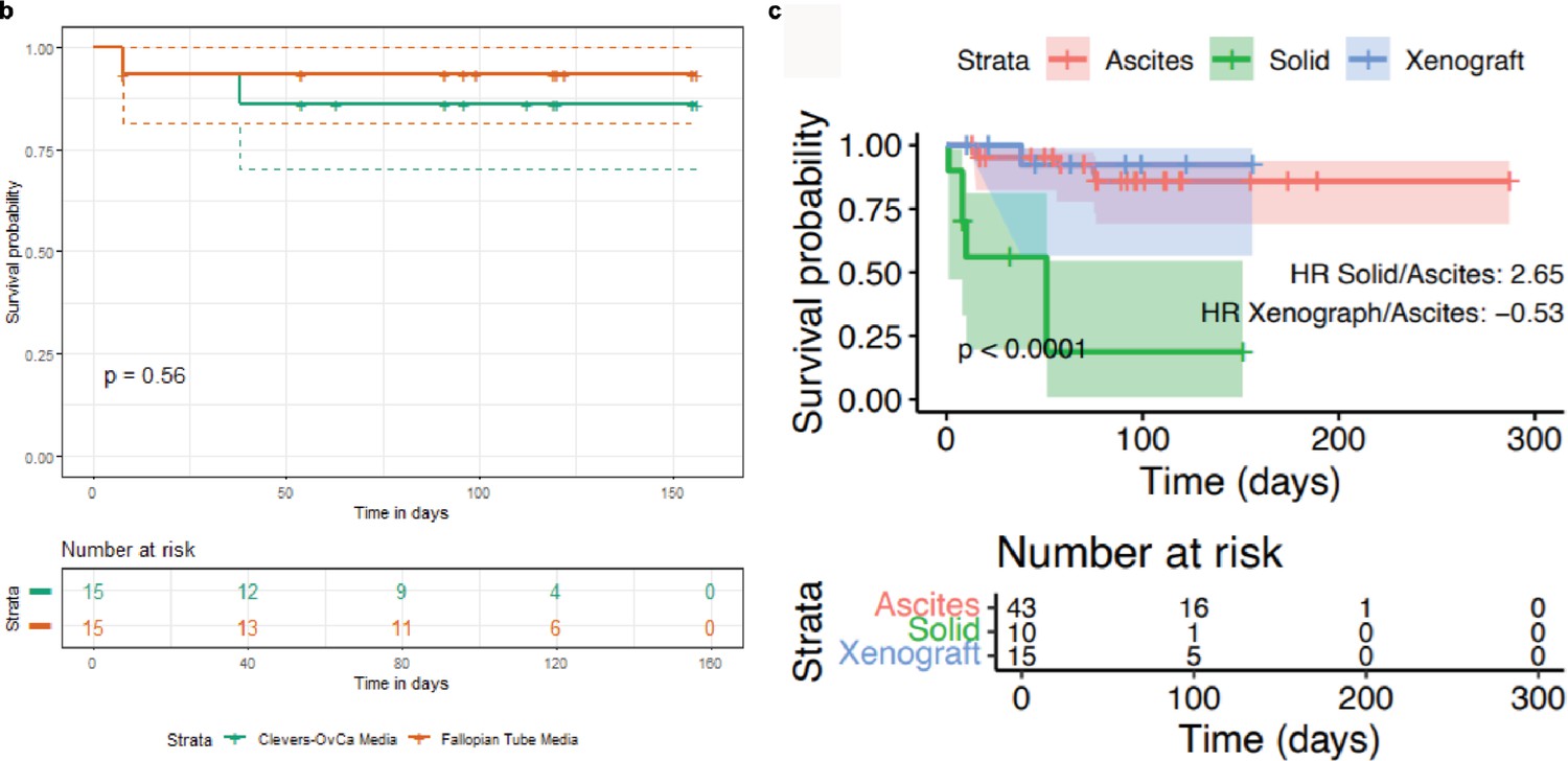 high-grade-serous-ovarian-carcinoma-organoids-as-models-of-chromosomal