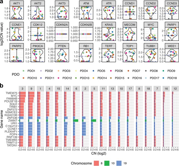 High-grade Serous Ovarian Carcinoma Organoids As Models Of Chromosomal ...