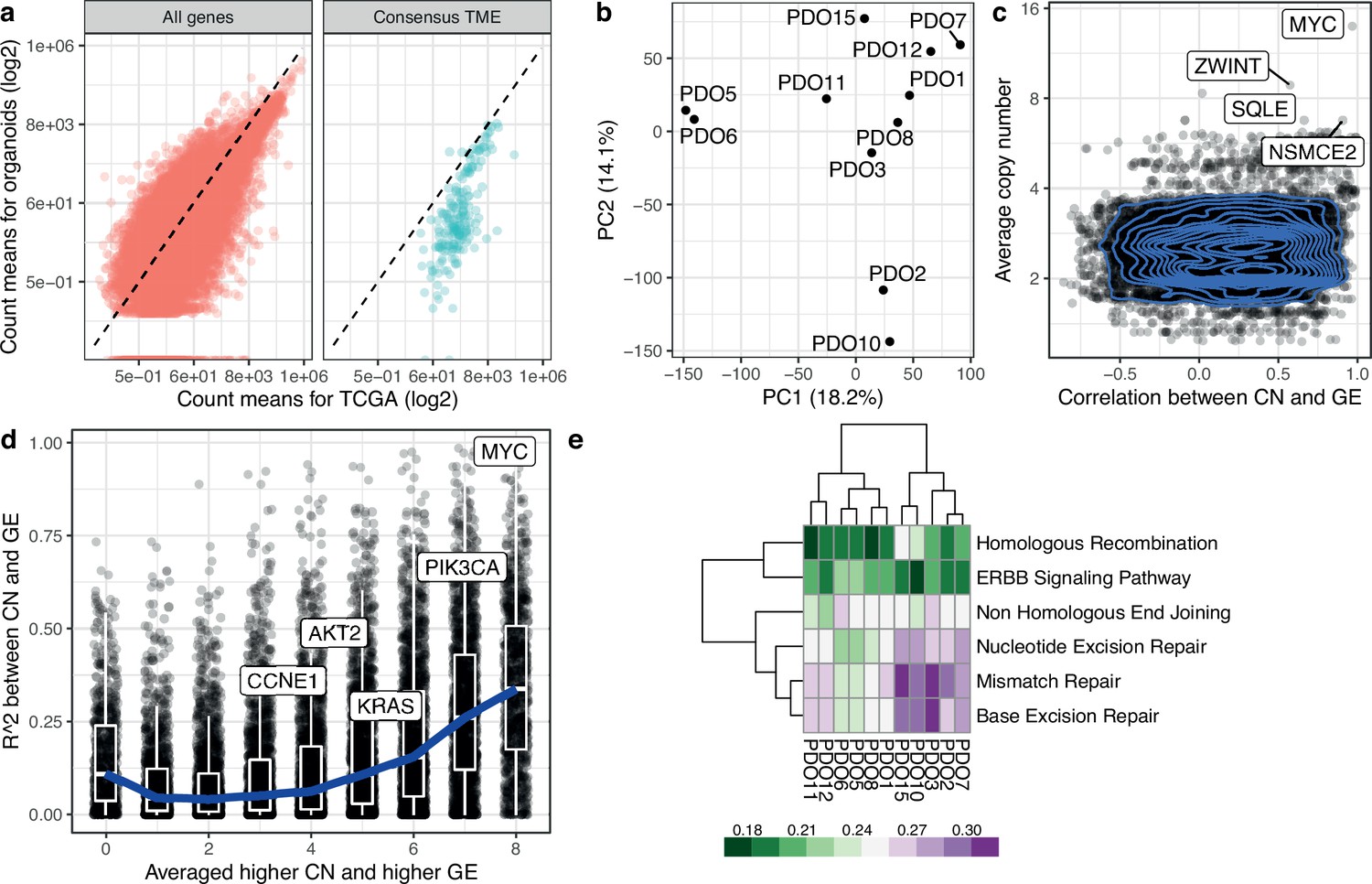 high-grade-serous-ovarian-carcinoma-organoids-as-models-of-chromosomal