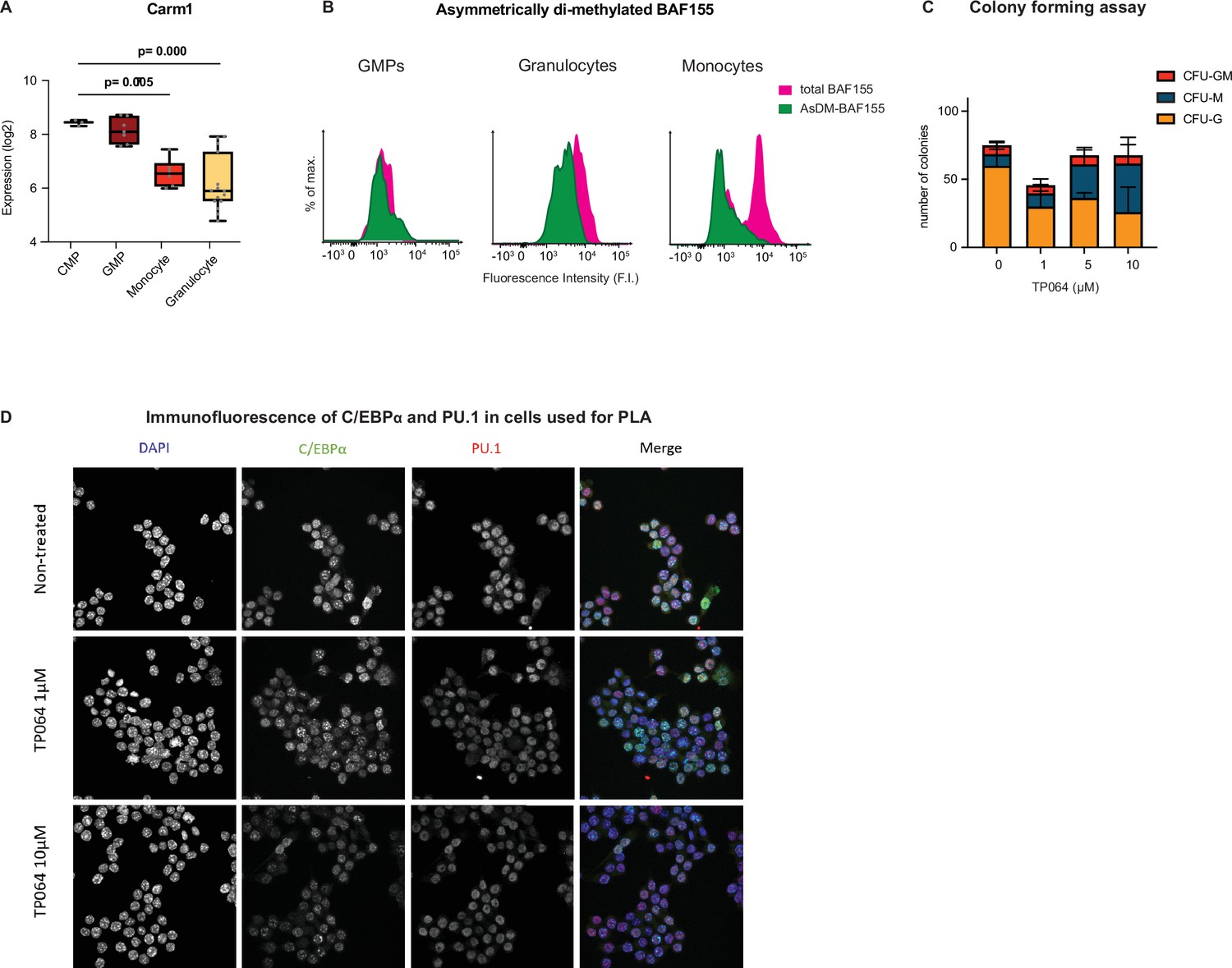 Carm1-arginine methylation of the transcription factor C/EBPα