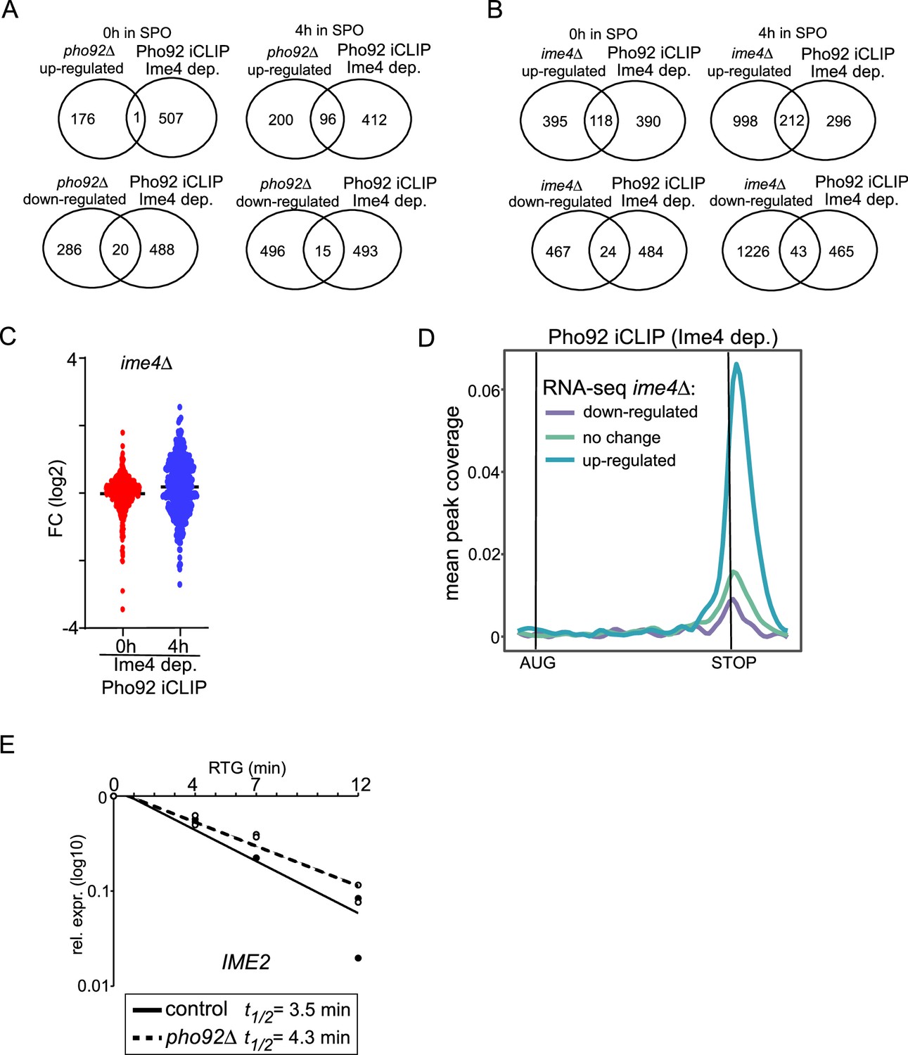 Figures and data in N6-methyladenosine (m6A) reader Pho92 is recruited ...