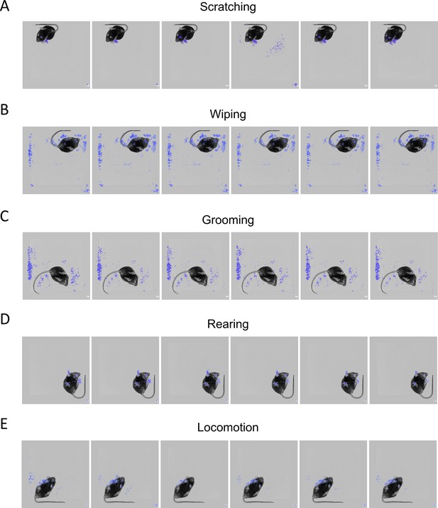 Figures and data in Scratch-AID, a deep learning-based system for ...