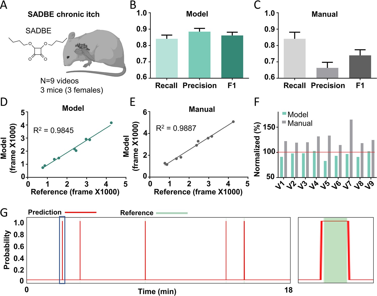 Scratch-AID, a deep learning-based system for automatic detection of ...