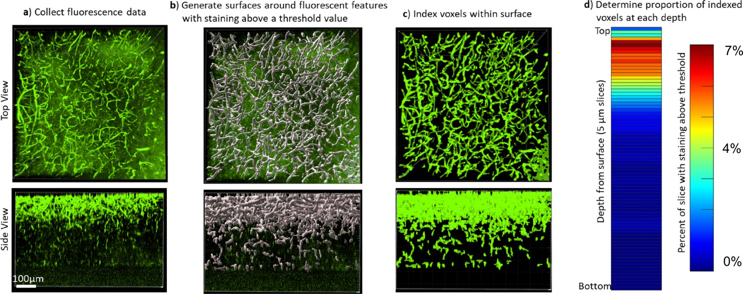 Tissue libraries enable rapid determination of conditions that